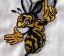 Wasps