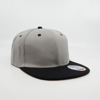 Snap Back 2 Tone - Product Image