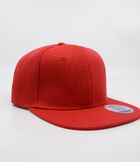 Original Snap Back Original Snap Back Coordinating Image